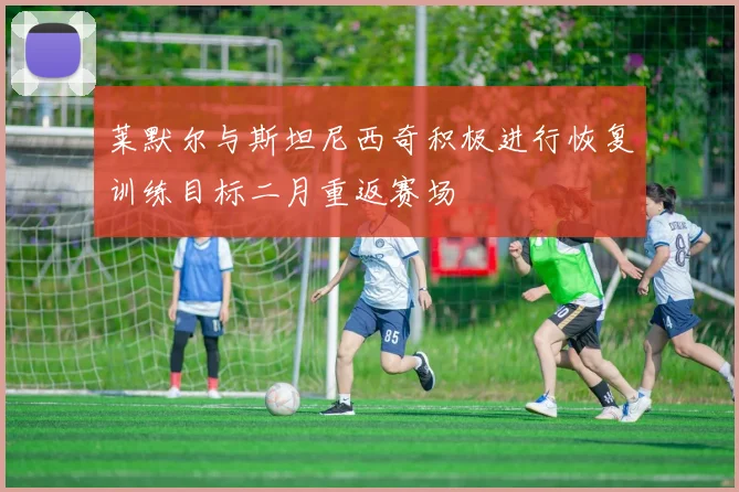 莱默尔与斯坦尼西奇积极进行恢复训练目标二月重返赛场